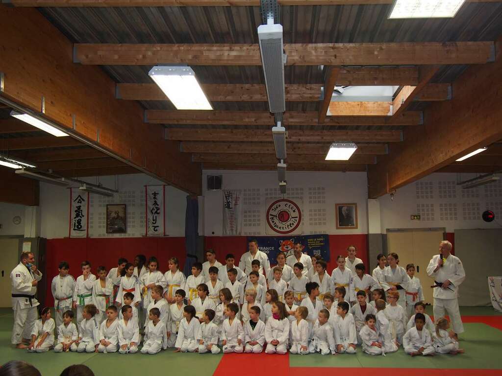 Judo-jujitsu