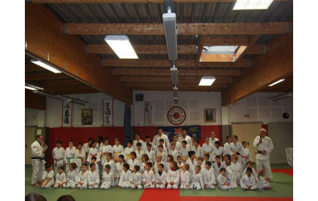 Judo-jujitsu